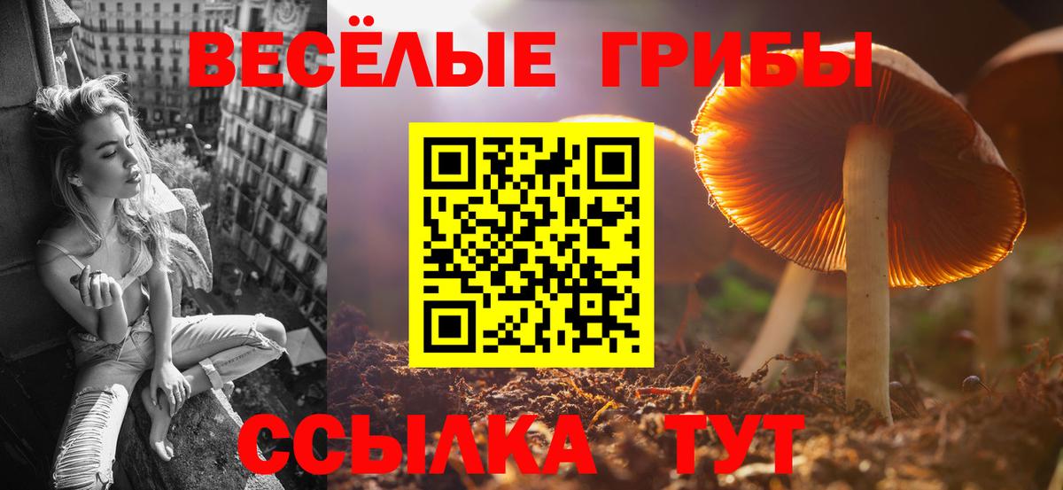 Галлюциногенные грибы прущие грибы  Вход с VPN  Баксан  Псилоцибиновые грибы Psilocybe 